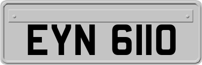 EYN6110