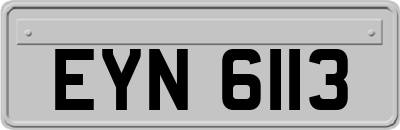 EYN6113