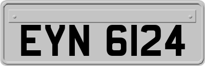 EYN6124