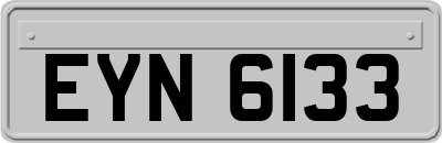 EYN6133
