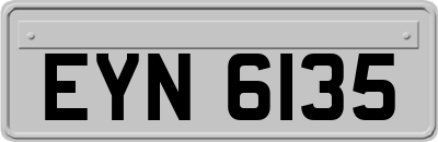 EYN6135