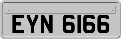 EYN6166