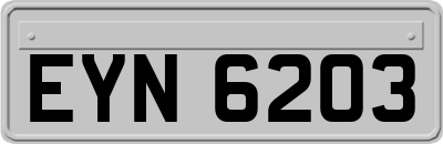 EYN6203