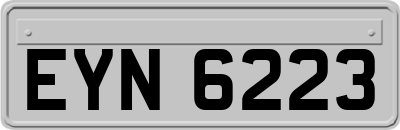 EYN6223