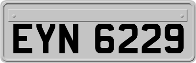 EYN6229