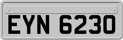 EYN6230