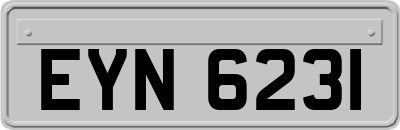 EYN6231