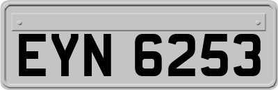 EYN6253