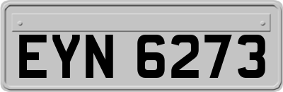 EYN6273
