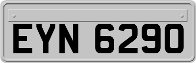 EYN6290