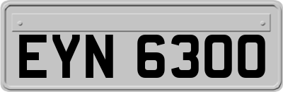 EYN6300