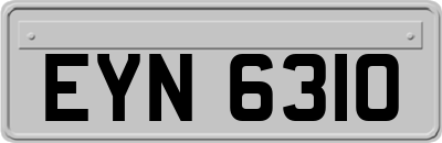 EYN6310