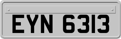 EYN6313