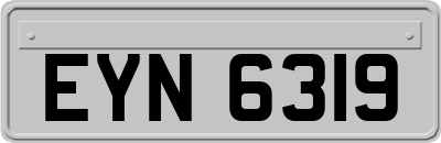 EYN6319