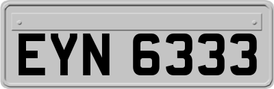 EYN6333