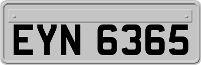 EYN6365