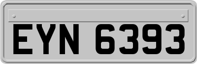 EYN6393