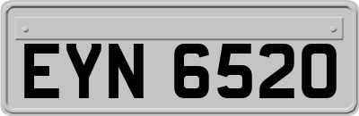EYN6520