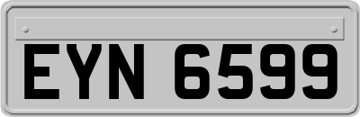 EYN6599