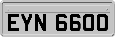 EYN6600