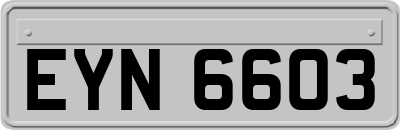 EYN6603