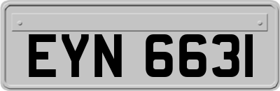 EYN6631