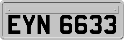 EYN6633