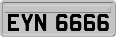 EYN6666