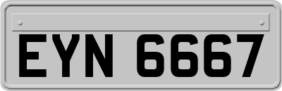 EYN6667
