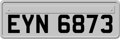 EYN6873