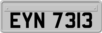 EYN7313