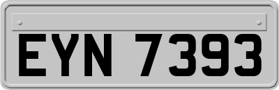 EYN7393