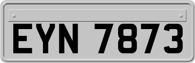 EYN7873