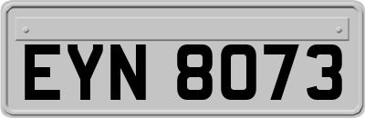 EYN8073