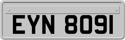 EYN8091
