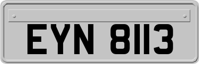 EYN8113