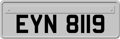 EYN8119