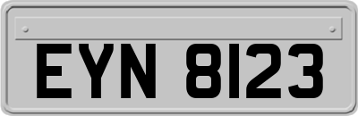 EYN8123