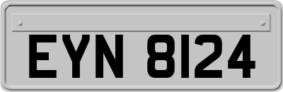 EYN8124