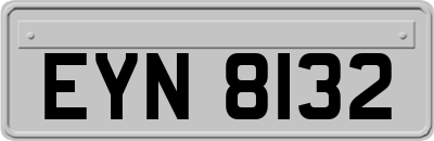 EYN8132