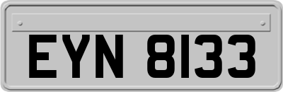 EYN8133