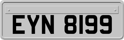 EYN8199