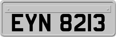 EYN8213