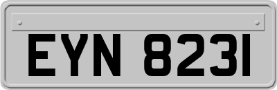 EYN8231