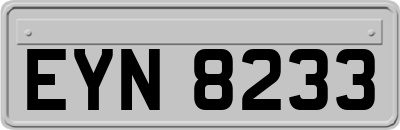EYN8233