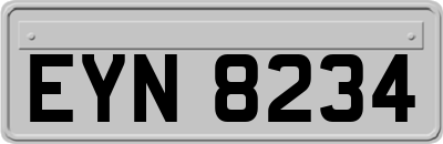 EYN8234