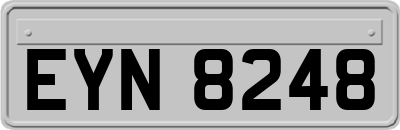 EYN8248