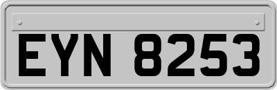 EYN8253