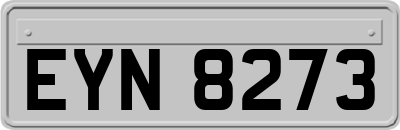 EYN8273