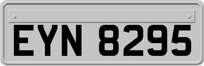 EYN8295